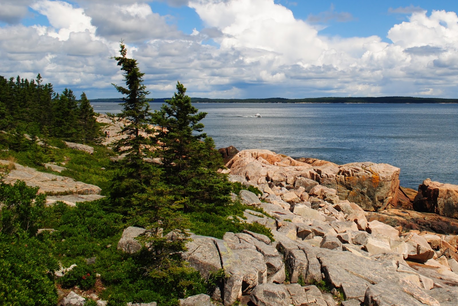 Field Notes and Photos Maine Coastal Landscapes
