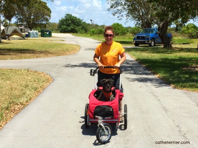 removing look pedals