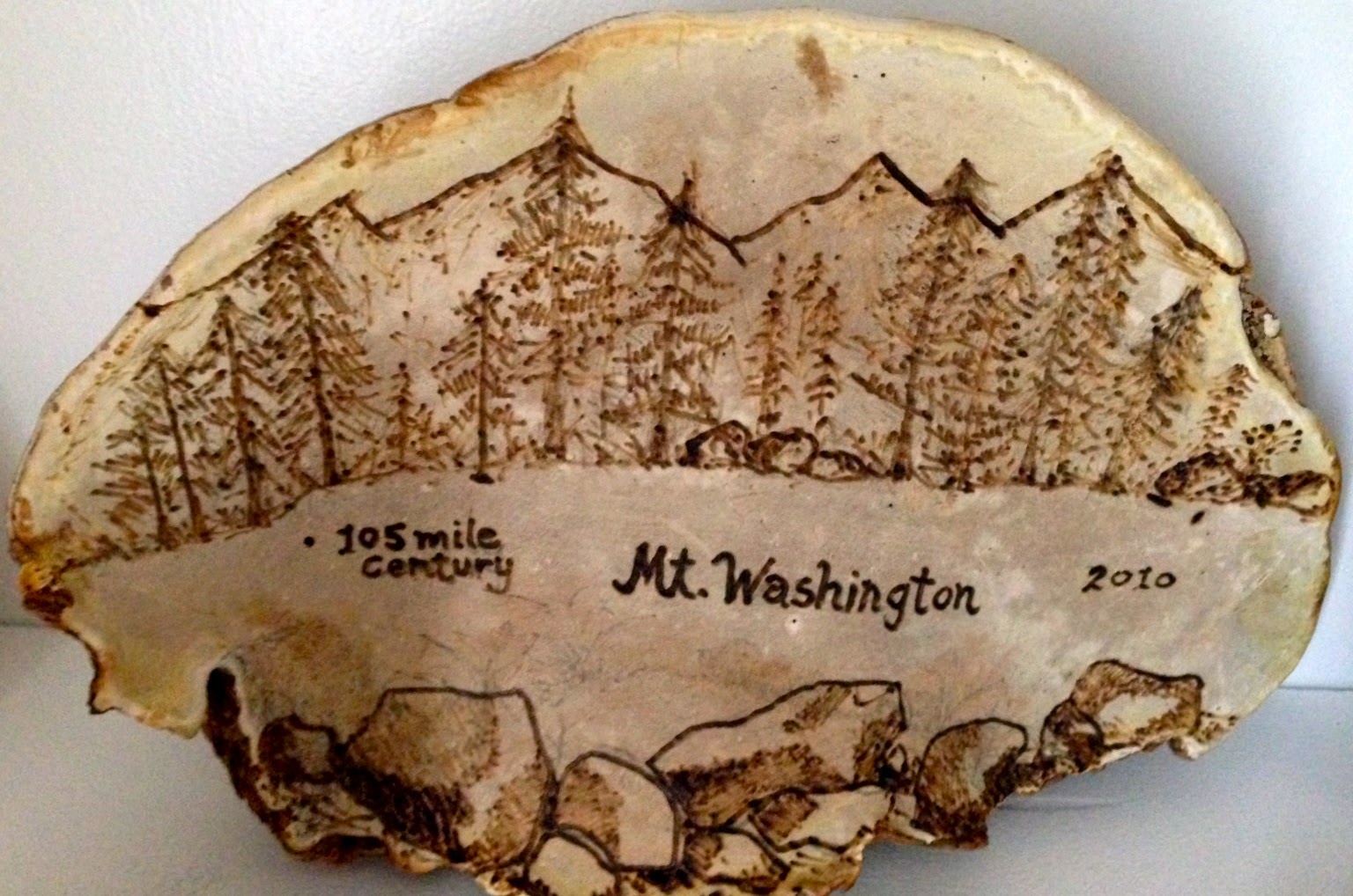 WHERE TO GO AND WHAT TO DO Artist's Conk Mushrooms