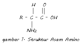struktur asam amino
