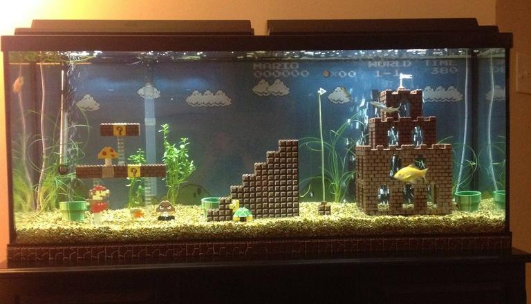 Mario Themed Fish Tank