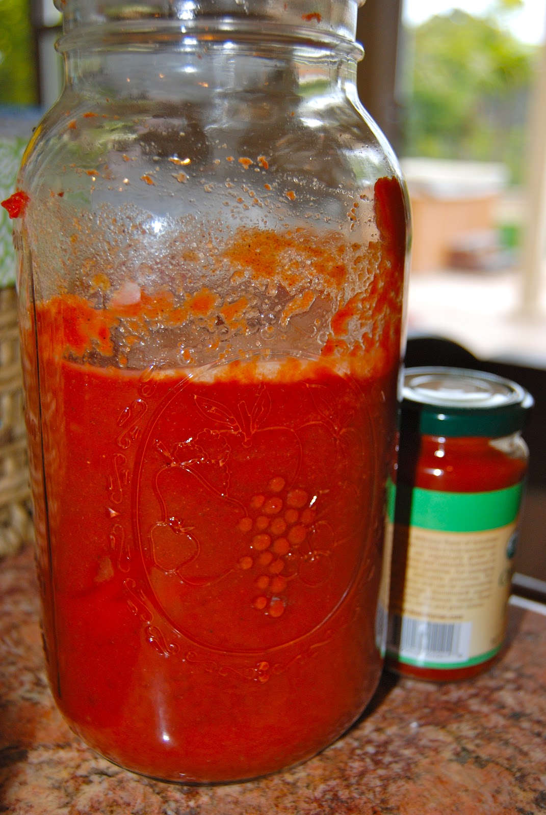 Natural Health and Prevention Fish Sauce Free Cultured Ketchup