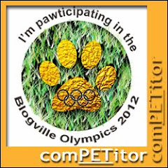 Blogville Olympics