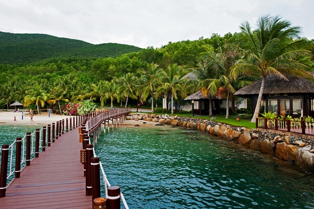 [Image: hoa-giay-nha-trang-4.jpg]