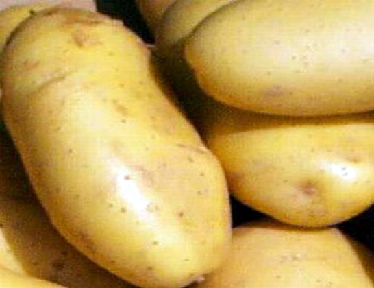 potatoes5-saidaonline.jpg