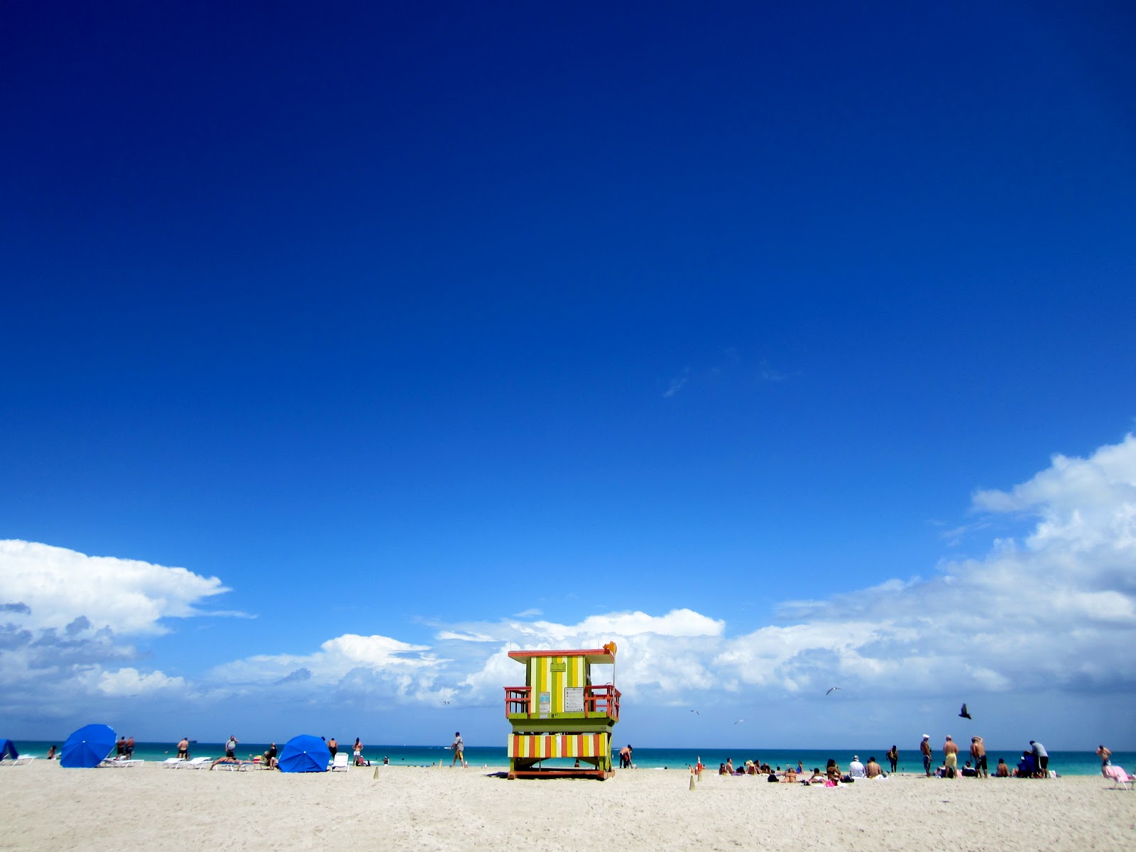 south beach griffeys