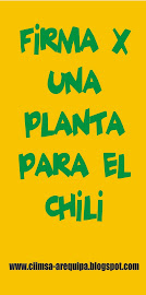 Campaña por la Descontaminación del Chili