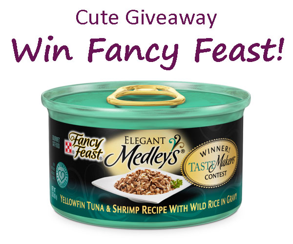 Your Daily Cute GIVEAWAY New Fancy Feast Flavor Win a Whole Case!
