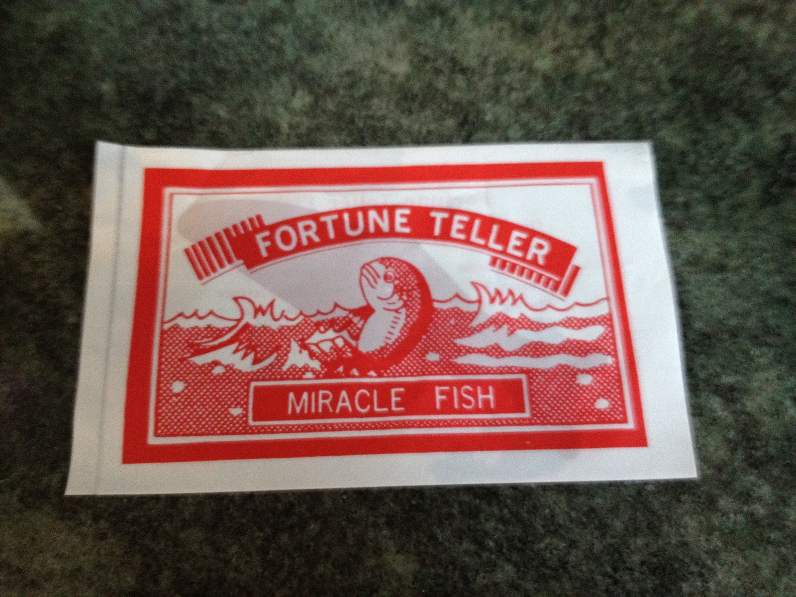Mystery Playground Fortune Teller Fish