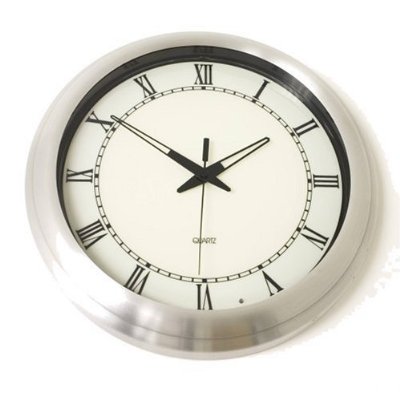 skyscan atomic clock manual 87800