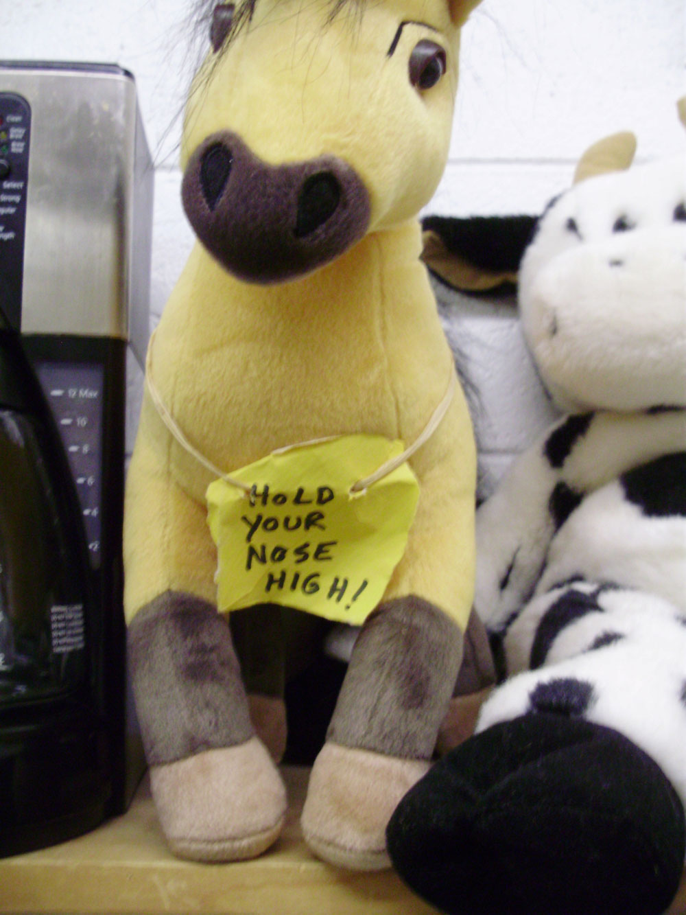 Habitat For Humanity ReStore's North Carolina