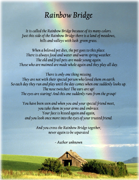 BLADE 7184 Just This Side of Heaven is a Special Place Called The Rainbow Bridge...