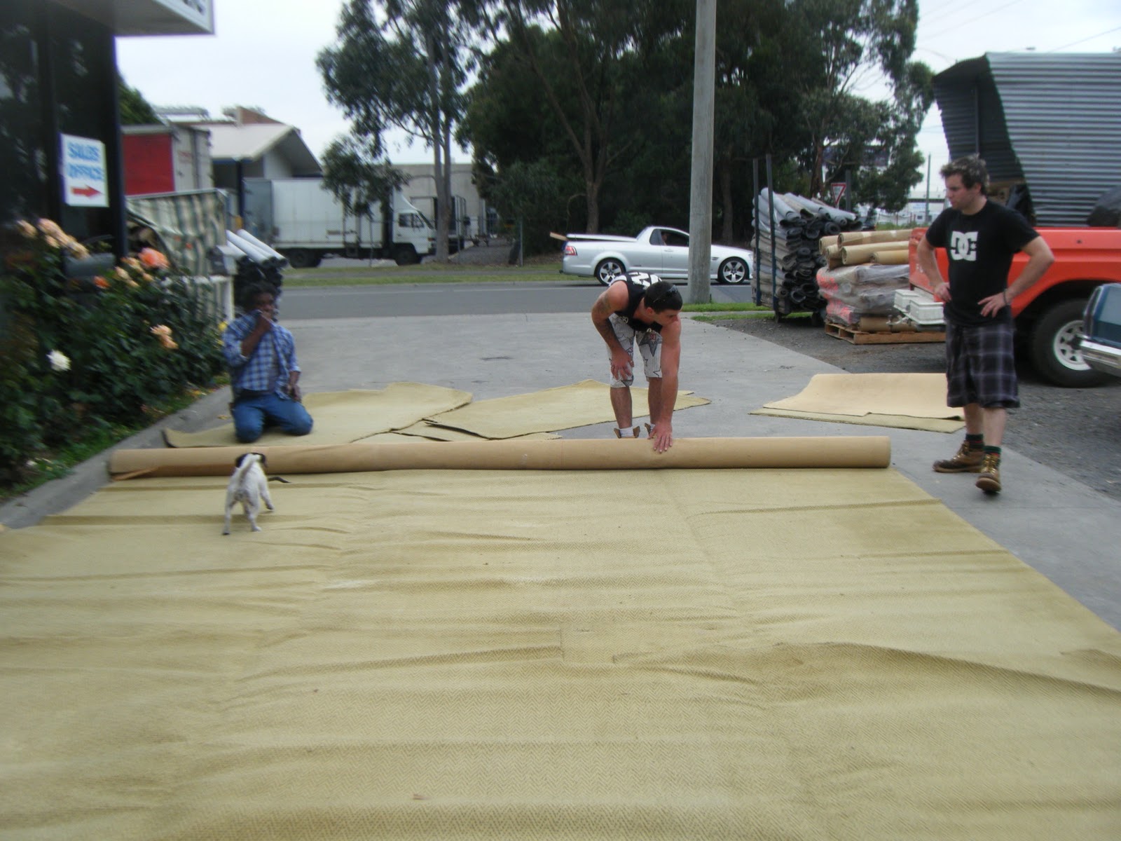 How to Work Out How Much Carpet Costs used carpet melbourne