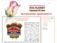 portofolio website murah 6