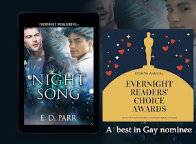 Night Song ,gay contemporary romance