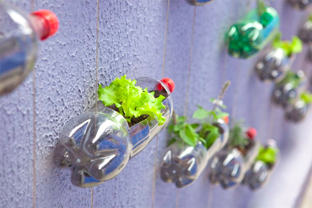 jardim vertical urbano:Recycle Plastic Bottle for Garden jardim vertical urbano:Recycle Plastic Bottle for Garden