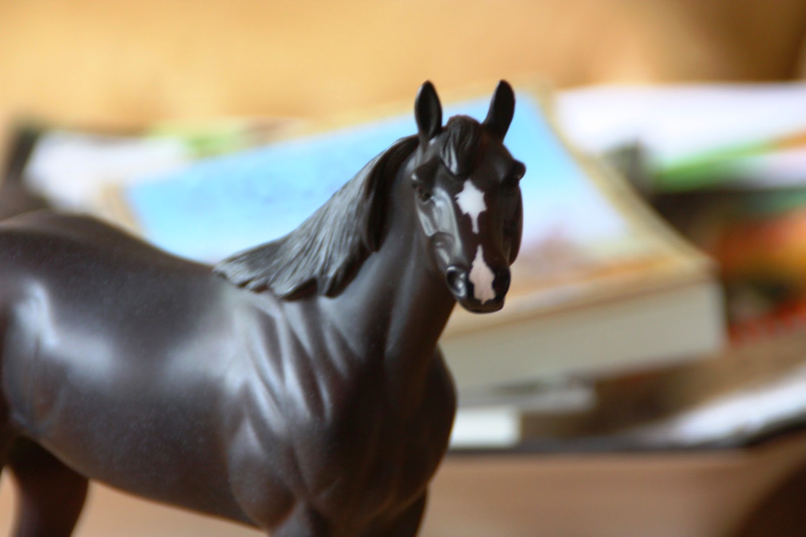 Bits and Spurs DIY Rope Halter Tutorial