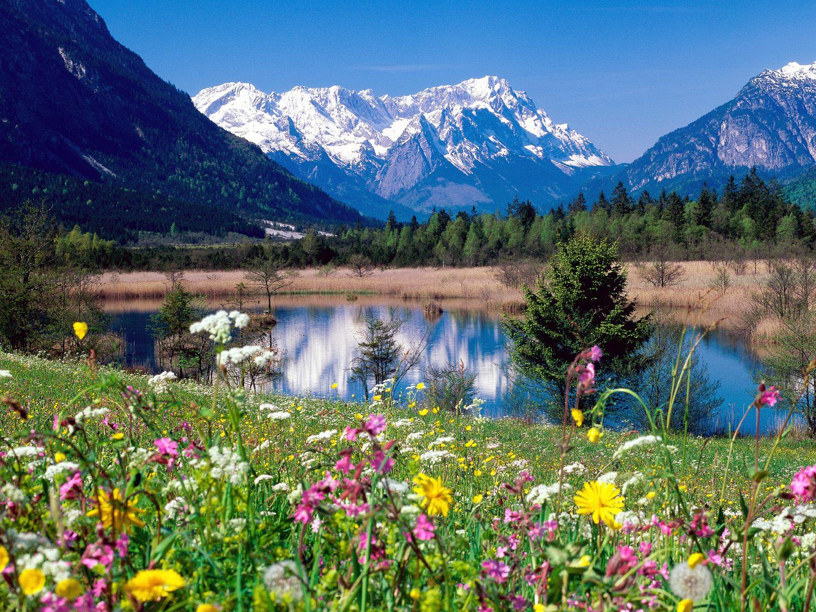 a nature scenery a nature scenery