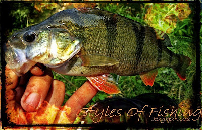 www.styles-of-fishing.blogspot.com