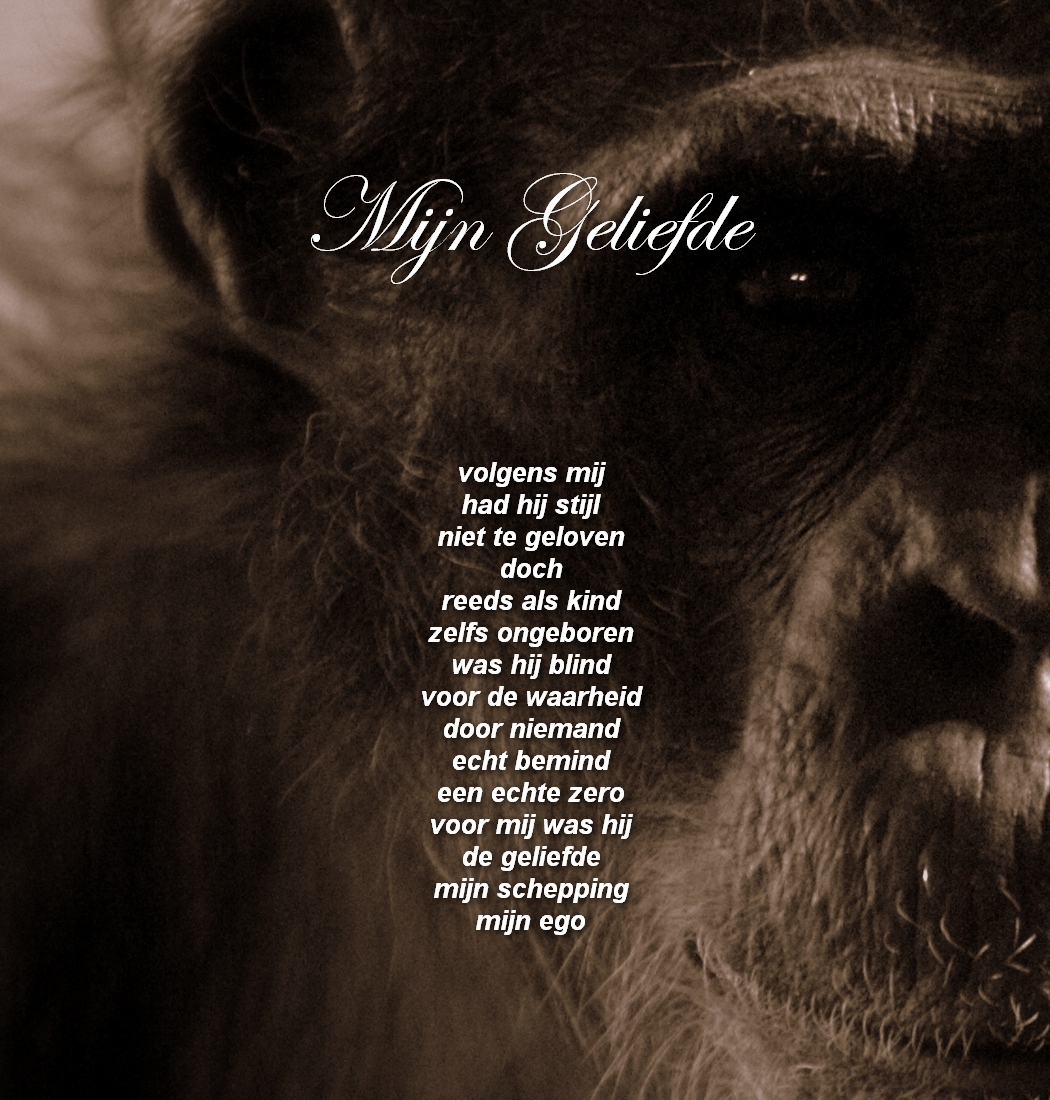 De Dagelijkse Boterham Mijn Geliefde