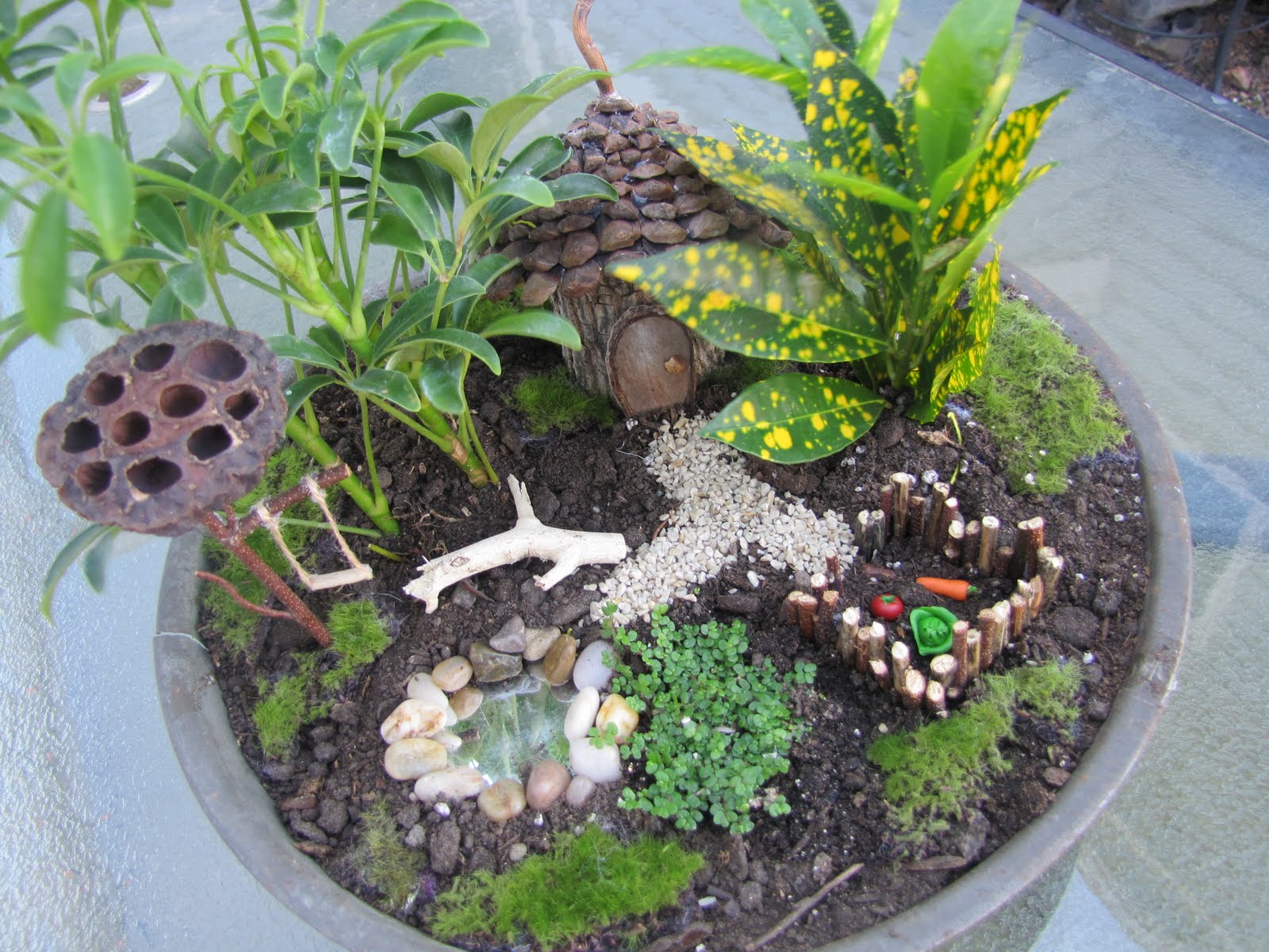 Fancilicious Fairylands: Friday's Fairy Garden