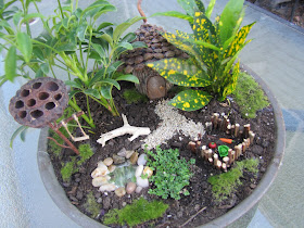 Fancilicious Fairylands: Friday's Fairy Garden