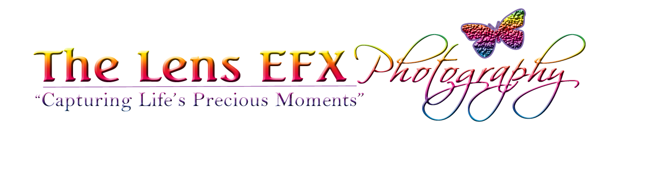 The Lens EFX Photography