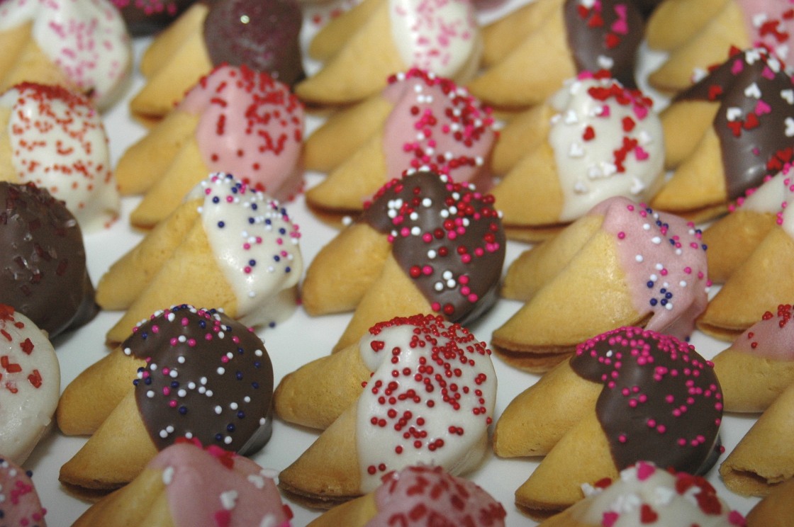 Boy Cheese Sandwich ChocolateDipped Fortune Cookies