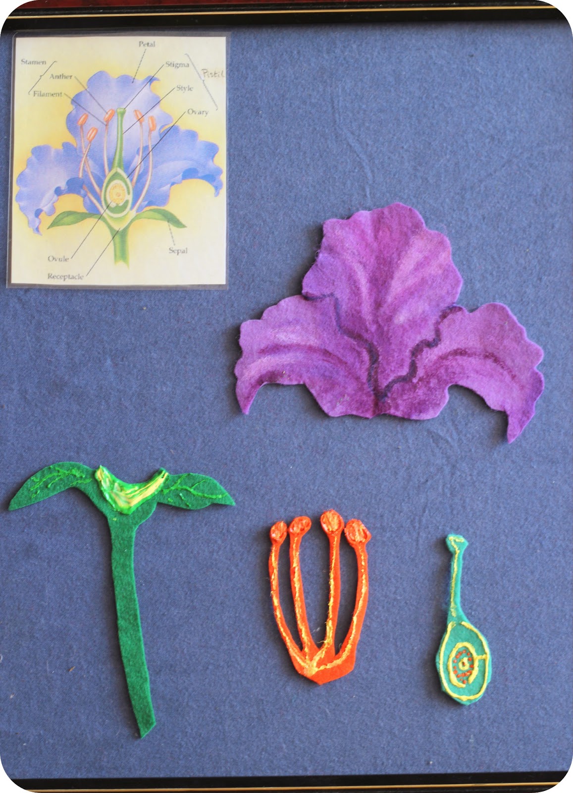 Like A Bird: Flower parts in felt.