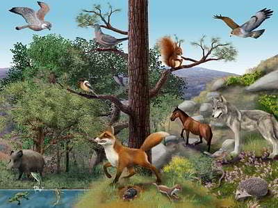 IMAGEN ECOSISTEMA ARTIFICIAL imagen ecosistema artificial: