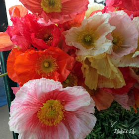 Poppies at Orange Grove markets
