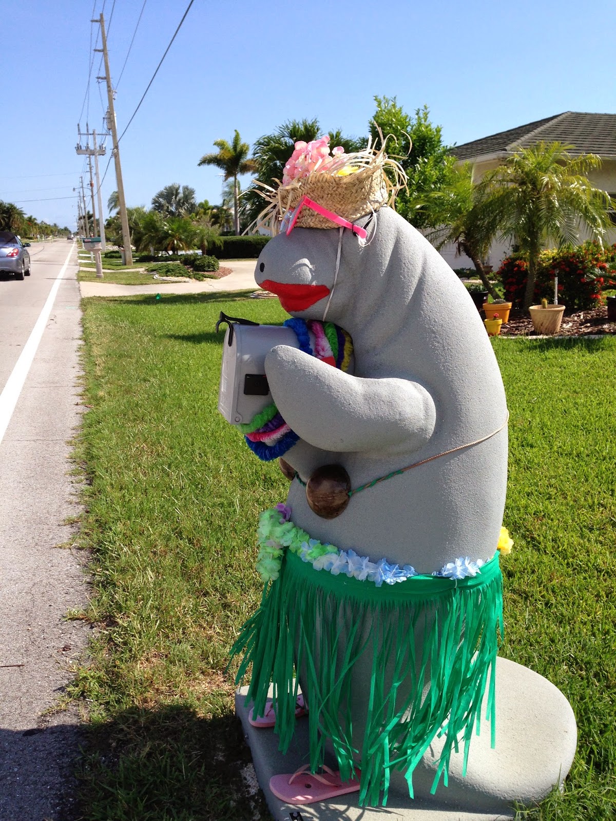 Our Nature Mailbox Monday Maui Manatee