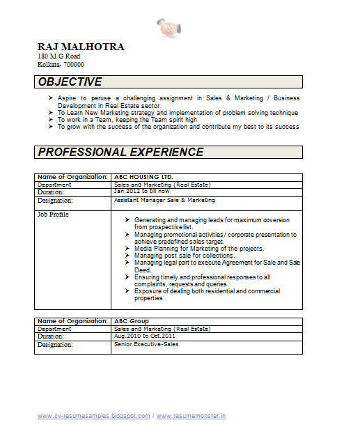 Over 10000 CV and Resume Samples with Free Download: CV Format For Graduate