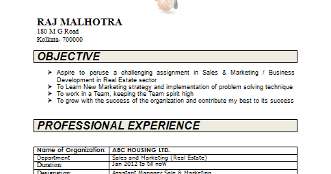 over 10000 cv and resume samples with free download cv real estate sales assistant resume sample best format
