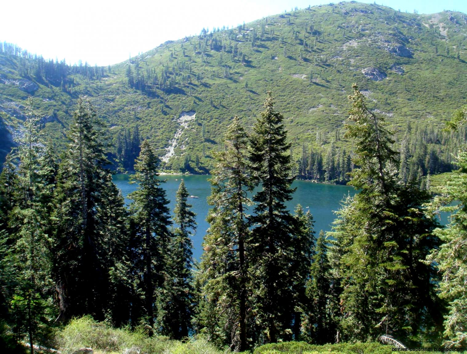 Lake Shasta Pics Lake Shasta Pics