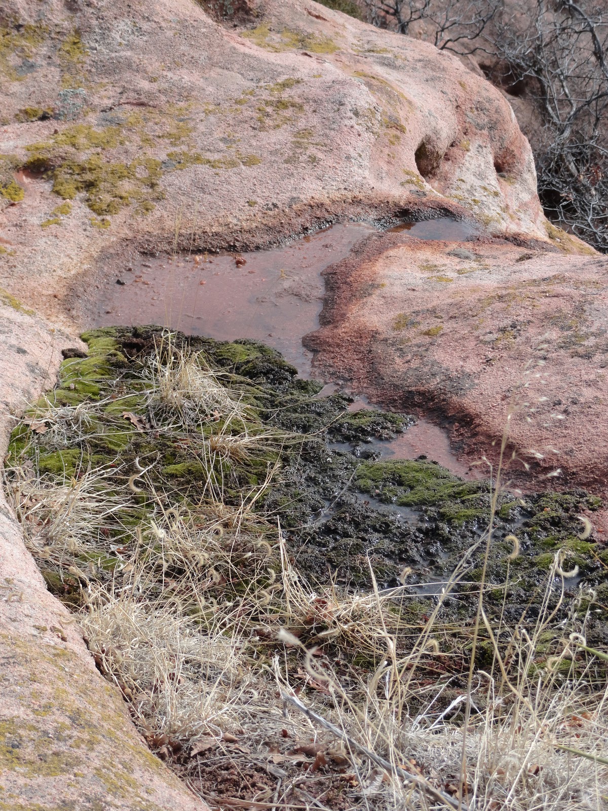 Geography 1202 Blog Forms of Weathering on a Single Sandstone Outcrop in South Valley Park