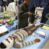 Kamikaze mata a 12 niños en Irak