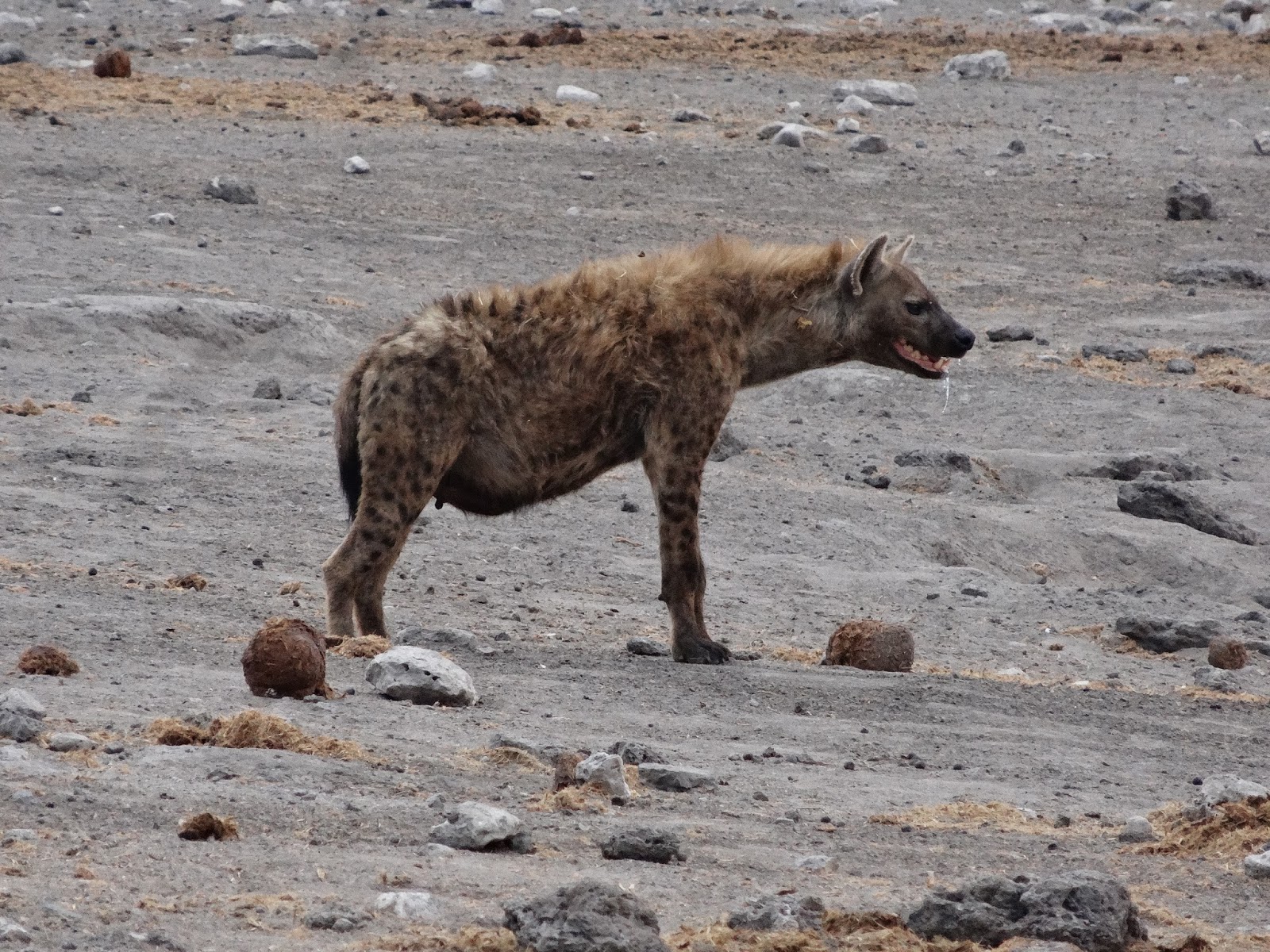 rencontres eaux de baignade