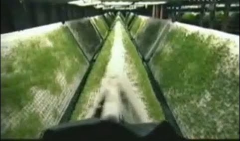 Aeroponía : Jardines verticales y cubiertas vegetales