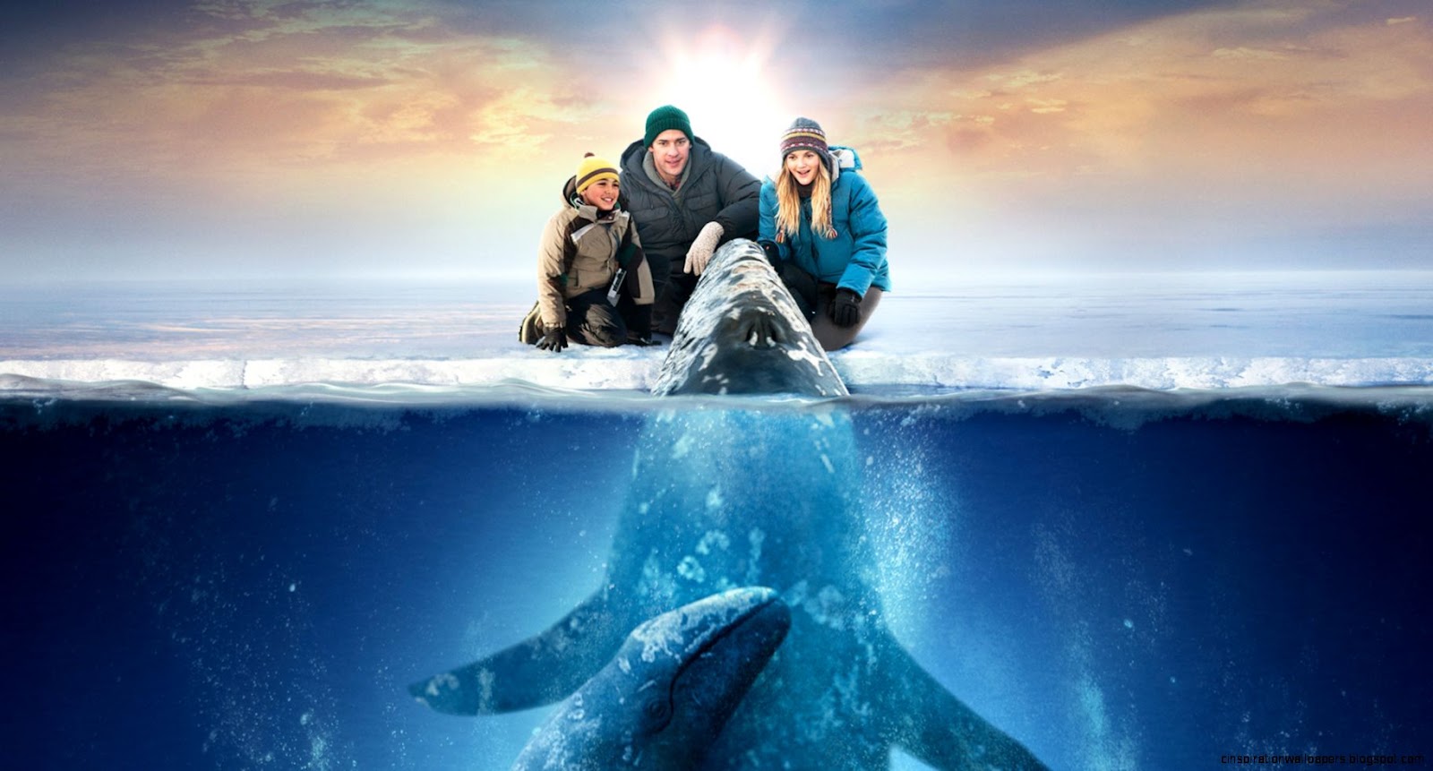 Big Miracle Big Miracle
