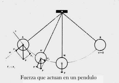 oscilacion lineal trigonometria que tienen en comun el movimiento de un oscilacion lineal trigonometria que tienen en comun el movimiento de un