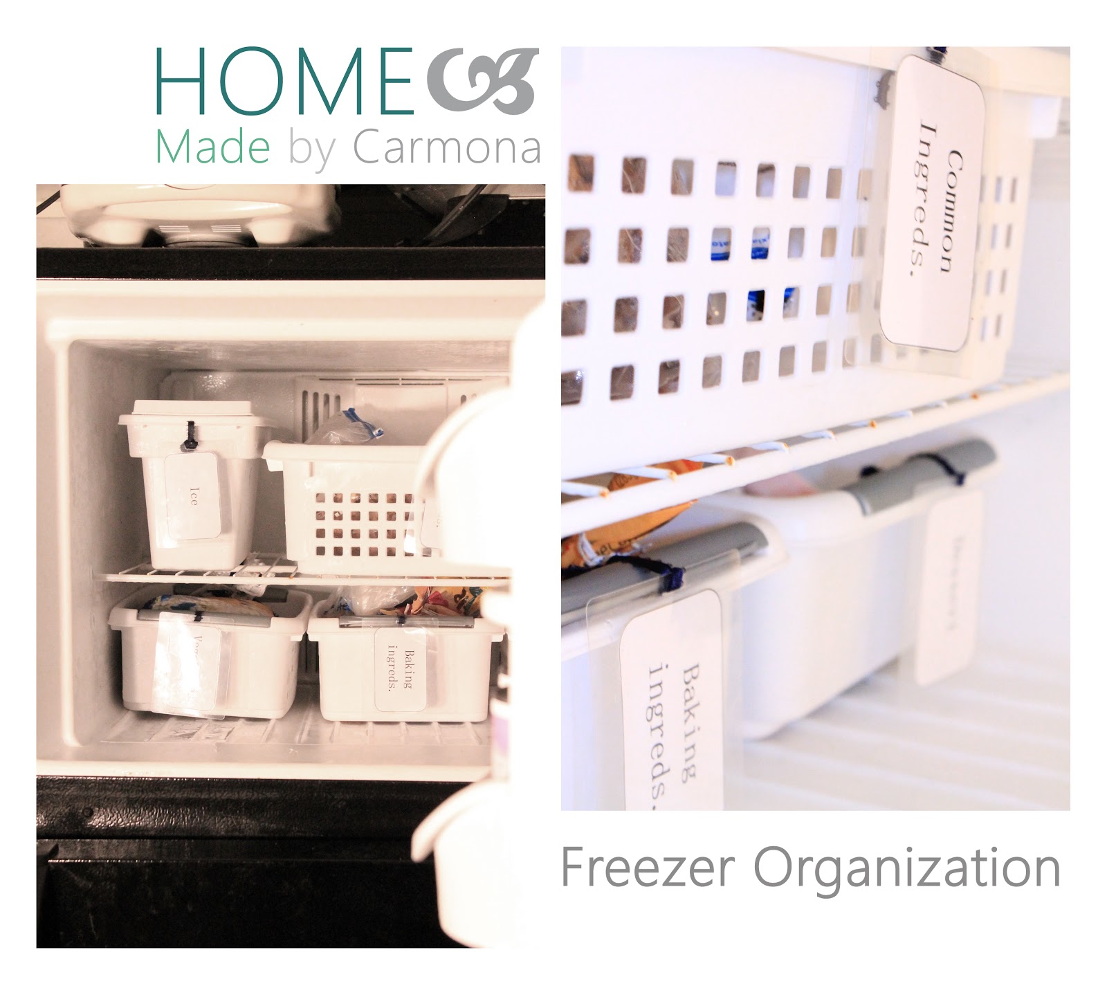 Freezer Organization Home Made by Carmona