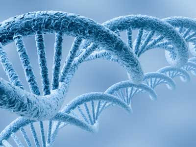 List of Human Genetic Disorders