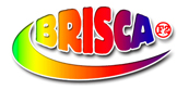 BriSCA F2 Website