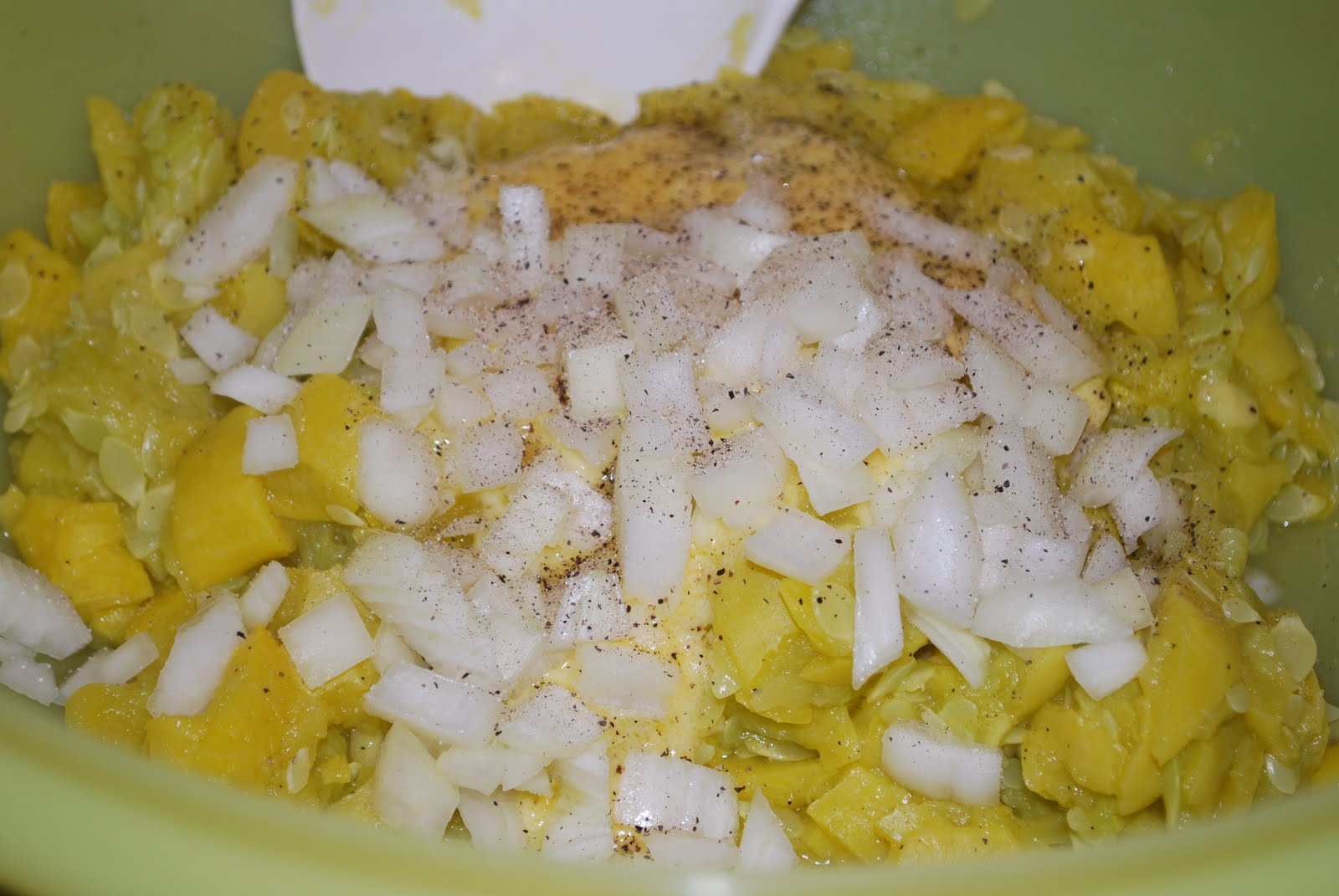 Madison Ave Musings Meatless Monday + Passover Plates Squash Casserole