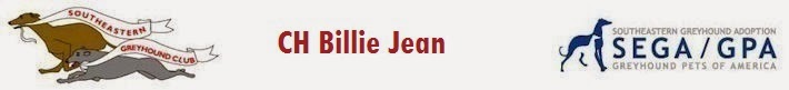 CH Billie Jean