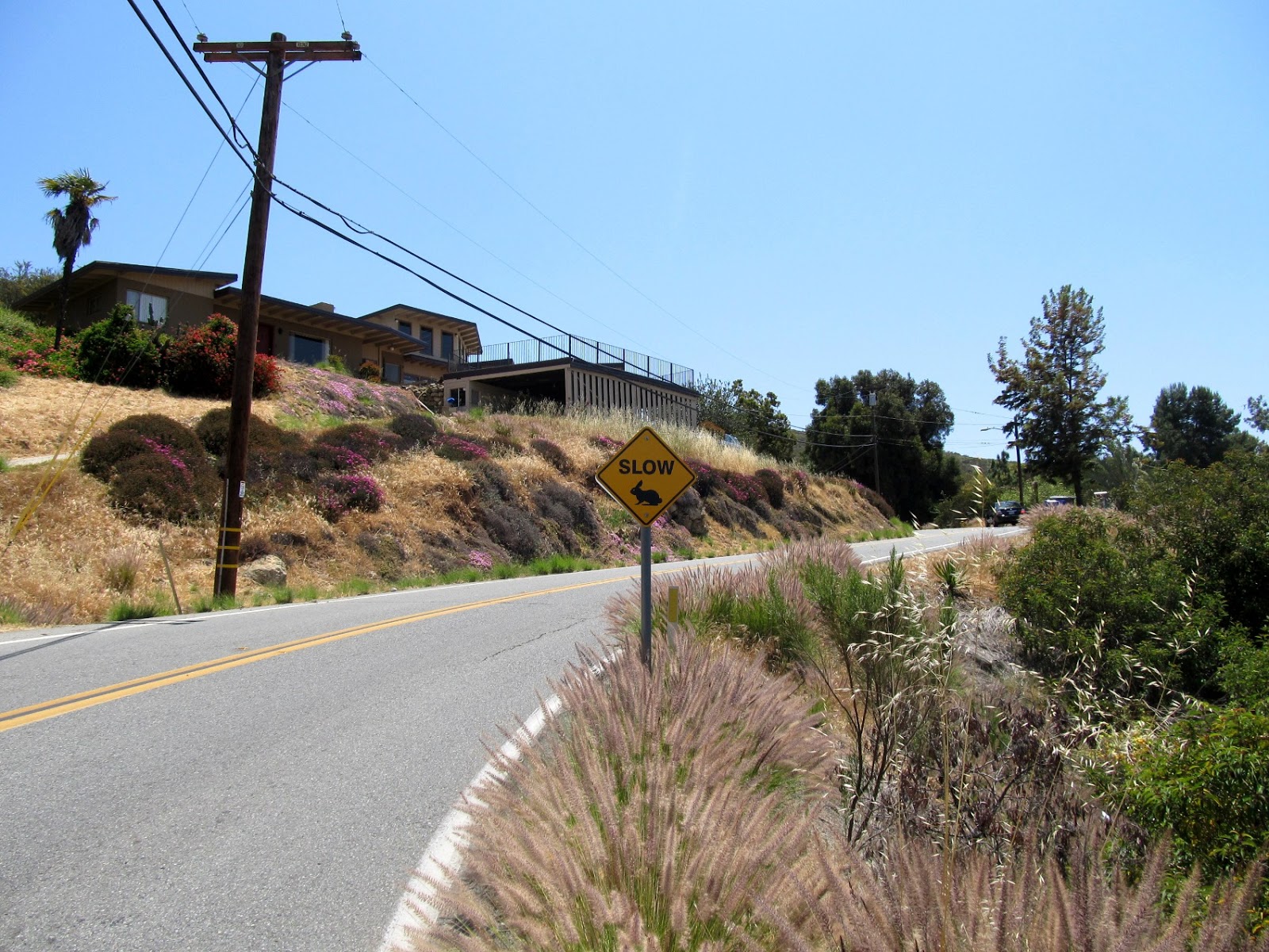 Funky ride around Spring Valley, Dictionary Hill, Casa de