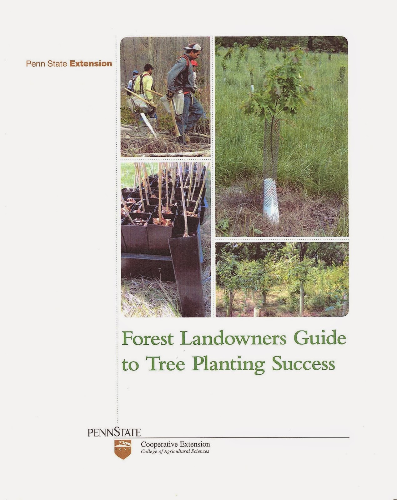 Central Pennsylvania Forestry Forest Landowners Tree Planting Guide