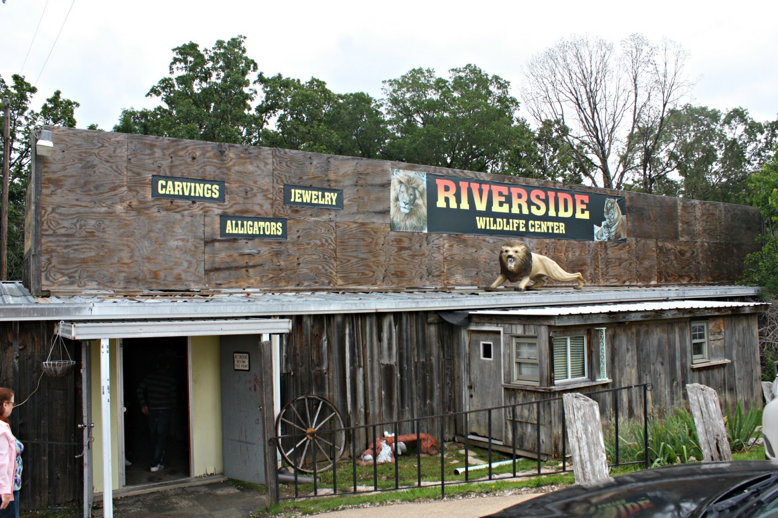 All About Us Riverside Wildlife & Reptile Center