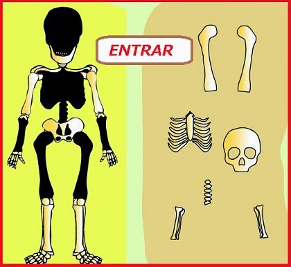 El esqueleto